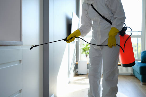 Best Residential Mold Removal  in Hubbard, TX